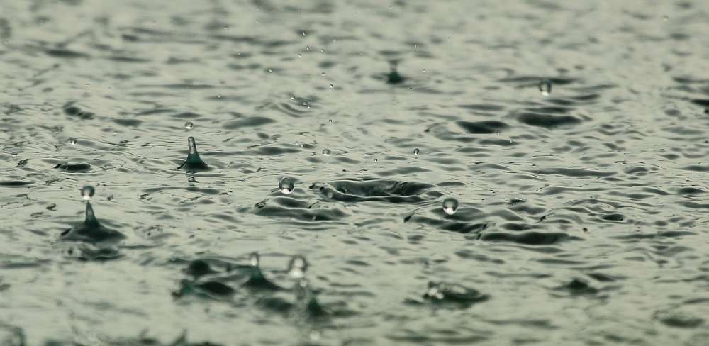 De la douceur et de nombreuses perturbations sont attendues en France en ce début d'année. (Image d'illustration)