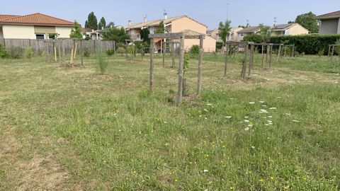 La prochaine journée Ecojardin aura lieu le 2 février à la Défense, près de Paris, avec possibilité de suivi à distance. Une seule obligation : s’inscrire ! La prochaine journée Ecojardin aura lieu le 2 février à la Défense, près de Paris, avec possibilité de suivi à distance. Une seule obligation : s’inscrire !
