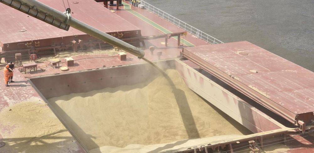 La concurrence, et les crises sanitaires du covid-19 et de la grippe aviaire pèsent sur les cours des céréales et des oléagineux.