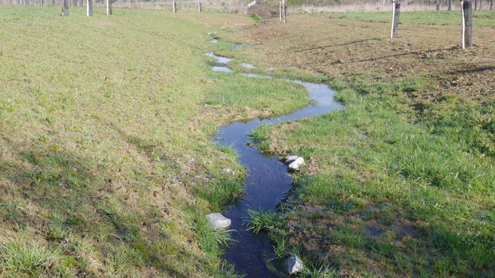 Travaux de compensation écologique réalisés par l'entreprise Dervenn pour la ligne LGV Bretagne. Travaux de compensation écologique réalisés par l'entreprise Dervenn pour la ligne LGV Bretagne.