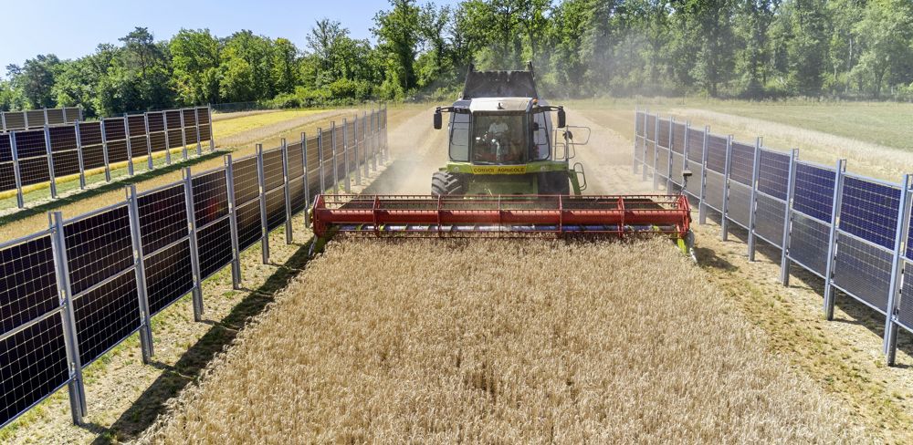 L’union de coopératives Alliance est impliquée dans un programme de développement de l’agrivoltaïsme avec deux énergéticiens  : TSE et Total Energie. Ici à Channay, dans la Côte-d'Or.