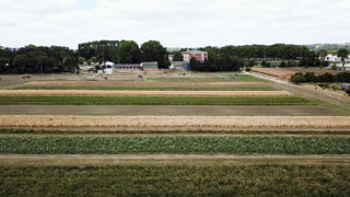 Le financement par le réseau Dephy du projet Agrosem court jusqu'en 2023. Toutefois, la Fnams souhaiterait le prolonger pour que l'expérimentation dure au total 8 ans, durée de la rotation. Le financement par le réseau Dephy du projet Agrosem court jusqu'en 2023. Toutefois, la Fnams souhaiterait le prolonger pour que l'expérimentation dure au total 8 ans, durée de la rotation.