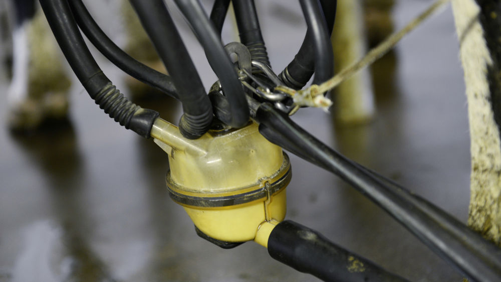 La collecte de lait de vache reculerait de 1 % en France sur l'année 2022, selon l'interprofession laitière.