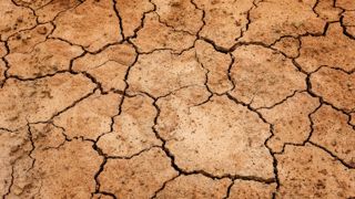 La sécheresse sévit dans plusieurs régions d'Argentine et soulève des inquiétudes quant aux perspectives de récolte de soja. La sécheresse sévit dans plusieurs régions d'Argentine et soulève des inquiétudes quant aux perspectives de récolte de soja.