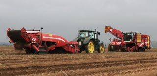 Pour gagner en débit de chantier, la Cuma de la Sole du Moulin arrache ses pommes de terres à l'aide de deux machines. En tout, elles récoltent quatre rangs à chaque passage. Pour gagner en débit de chantier, la Cuma de la Sole du Moulin arrache ses pommes de terres à l'aide de deux machines. En tout, elles récoltent quatre rangs à chaque passage.