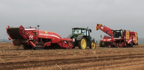 Pour gagner en débit de chantier, la Cuma de la Sole du Moulin arrache ses pommes de terres à l'aide de deux machines. En tout, elles récoltent quatre rangs à chaque passage. Pour gagner en débit de chantier, la Cuma de la Sole du Moulin arrache ses pommes de terres à l'aide de deux machines. En tout, elles récoltent quatre rangs à chaque passage.