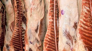 Dans son réquisitoire, au tribunal correctionnel de Marseille, le procureur adjoint a requis la condamnation de 21 des 25 prévenus pour une fraude à la viande de cheval. Dans son réquisitoire, au tribunal correctionnel de Marseille, le procureur adjoint a requis la condamnation de 21 des 25 prévenus pour une fraude à la viande de cheval.