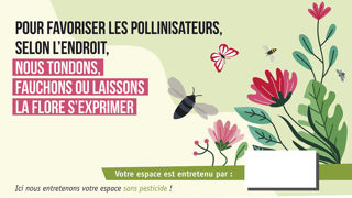 Un kit pour communiquer sur le « zéro phyto » dans les copropriétés