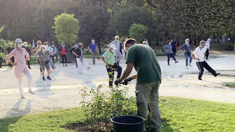 Les espaces verts des villes sont réputés améliorer la santé des habitants. Les espaces verts des villes sont réputés améliorer la santé des habitants.