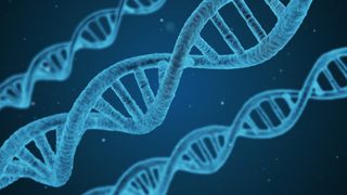 La Coordination rurale et la Confédération paysanne s'opposent au développement de la viande in vitro. La Coordination rurale et la Confédération paysanne s'opposent au développement de la viande in vitro.