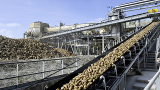 Au total, sur les 105 jours de campagne, plus de 1,5 million de tonnes de sucre et plus de 2 millions d'hectolitres d'alcool et de bioéthanol ont été produits dans les huit sucreries et les deux distilleries de Cristal Union. Au total, sur les 105 jours de campagne, plus de 1,5 million de tonnes de sucre et plus de 2 millions d'hectolitres d'alcool et de bioéthanol ont été produits dans les huit sucreries et les deux distilleries de Cristal Union.