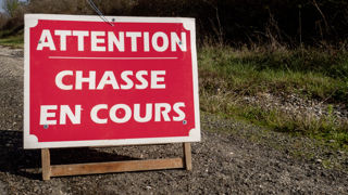 Le texte prévoit aussi une obligation de déclaration préalable des battues au grand gibier (image d'illustration). Le texte prévoit aussi une obligation de déclaration préalable des battues au grand gibier (image d'illustration).