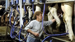 Avec le projet de réforme des retraites, le ministère de l'Agriculture annonce une hausse du minimum versé aux conjoints d'exploitants, en majorité des femmes. Avec le projet de réforme des retraites, le ministère de l'Agriculture annonce une hausse du minimum versé aux conjoints d'exploitants, en majorité des femmes.