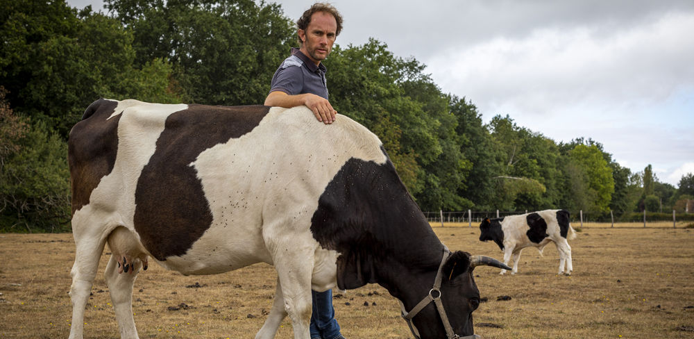 L'éleveur bio de vaches bretonnes pie noir a été la cible d'un courrier d'intimidation signé par "vos voisins".