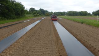 La station d’Auray (56), qui ouvrira ses portes le 14 septembre 2023, est partenaire du projet Biomaleg. Dans ce cadre, elle mène des expérimentations sur l’écotoxicité des films biodégradables.