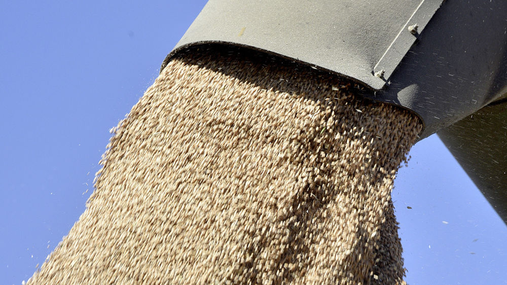 Ces derniers mois, la disponibilité en blé des grands exportateurs est record, expliquant le mouvement de détente sur les prix européens. Les fondamentaux pour la campagne suivante sont plus incertains.