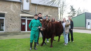(de gauche à droite) Baptiste, Lucas, Cédric, Mélia, Maëlisse et Gwenn avec leur vache armoricaine, Roxanne. (de gauche à droite) Baptiste, Lucas, Cédric, Mélia, Maëlisse et Gwenn avec leur vache armoricaine, Roxanne.