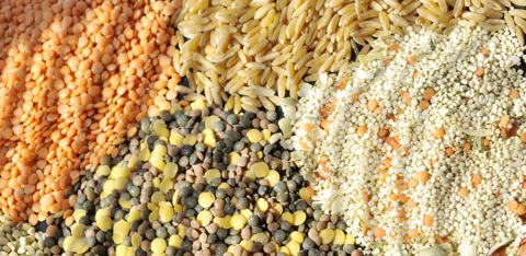 En moyenne dans le monde, un habitant a acheté pour 15,7 € d'aliments bio en 2021, selon le rapport du FIBL et de l'Ifoam. En moyenne dans le monde, un habitant a acheté pour 15,7 € d'aliments bio en 2021, selon le rapport du FIBL et de l'Ifoam.