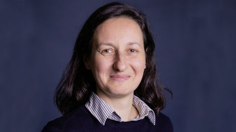 Chargée de mission puis directrice adjointe d’Afaïa, Stéphanie Tiprez avait précédemment exercé le poste de chef de projet normalisation de 2008 à 2020 à l’Afnor.
