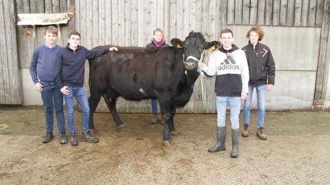 La rouge Flamande, Namur, une vache de 5 ans sera mise à l’honneur par ces étudiants du Lycée agricole de Thiérache (Aisne), lors du TIEA au Salon de l'agriculture à Paris, les 4 et 5 mars.