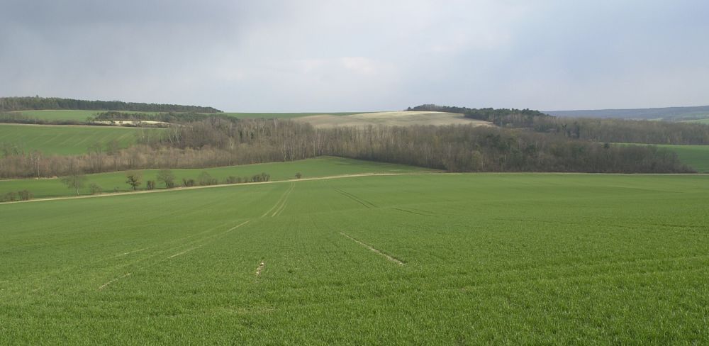 L'état des cultures d'hiver en Europe est plutôt bon, mais la sécheresse inquiète la Commission européenne. L'état des cultures d'hiver en Europe est plutôt bon, mais la sécheresse inquiète la Commission européenne.