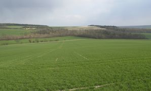 L'état des cultures d'hiver en Europe est plutôt bon, mais la sécheresse inquiète la Commission européenne. L'état des cultures d'hiver en Europe est plutôt bon, mais la sécheresse inquiète la Commission européenne.