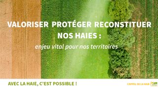 L'association Afac Agroforesteries lance « l’Appel de la haie »