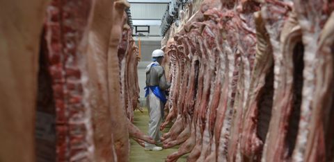 Le déficit d'offre disponible en porcs a fait grimper les cours moyens français en janvier 2023. Le déficit d'offre disponible en porcs a fait grimper les cours moyens français en janvier 2023.