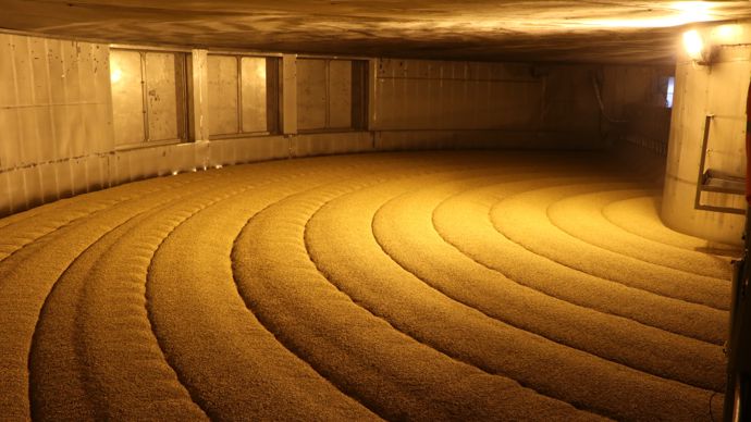 Les pilotes industriels en malterie démarrent en parallèle des pilotes CBMO.