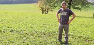 Depuis trois ans, une partie des prairies naturelles du Gaec Les Champs du Lac est renouvelée avec un mélange contenant de la chicorée à raison de 4 kg/ha.