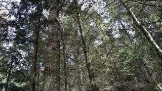 Le gouvernement a récompensé des lycées agricoles pour leurs participation au challenge "Une forêt d'idées". Le gouvernement a récompensé des lycées agricoles pour leurs participation au challenge "Une forêt d'idées".