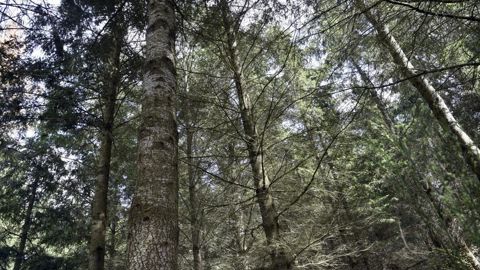 Le gouvernement a récompensé des lycées agricoles pour leurs participation au challenge "Une forêt d'idées". Le gouvernement a récompensé des lycées agricoles pour leurs participation au challenge "Une forêt d'idées".