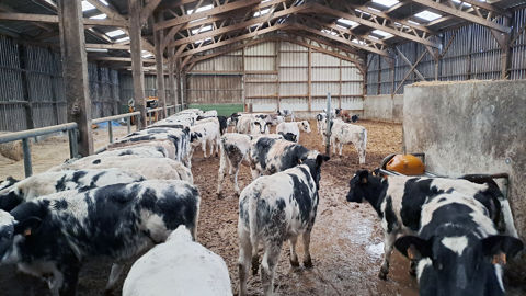 Le botulisme est une zoonose (maladie commune à l’homme et à l’animal). Dans les faits, la maladie est due, 
chez l’homme, aux toxines de types A, B, E et F, alors que les animaux sont touchés par les toxines C, C/D, D et D/D.