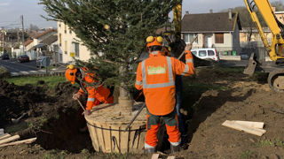 Scandella Paysage (Serpe) : une prévention des risques gagnante avec la MSA