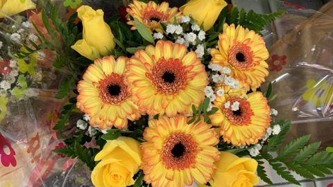 En 2023, le Salon MedFEL ouvre un espace consacré aux fleurs coupées.