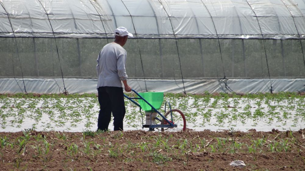 Réussir à stabiliser 500 millions de paysans est le principal défi de l'agriculture chinoise.