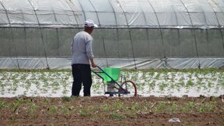 Réussir à stabiliser 500 millions de paysans est le principal défi de l'agriculture chinoise.