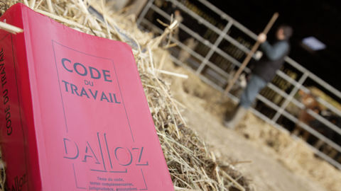 Désormais, les employeurs agricoles pourront voir leurs aides réduites de 1 % à 5 %, selon les cas, après une première sanction infligée par l'inspection du travail. Désormais, les employeurs agricoles pourront voir leurs aides réduites de 1 % à 5 %, selon les cas, après une première sanction infligée par l'inspection du travail.