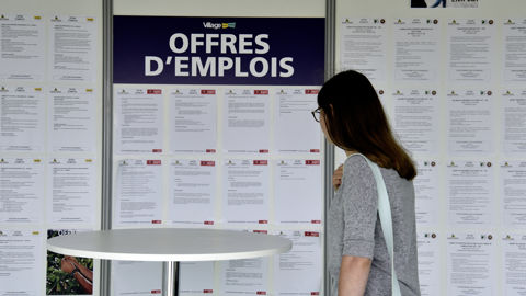 « Il faut qu’on ouvre grand les bras, le manque de main d'oeuvre est un facteur limitant », estime Yannick Fialip, membre du bureau de la FNSEA. « Il faut qu’on ouvre grand les bras, le manque de main d'oeuvre est un facteur limitant », estime Yannick Fialip, membre du bureau de la FNSEA.