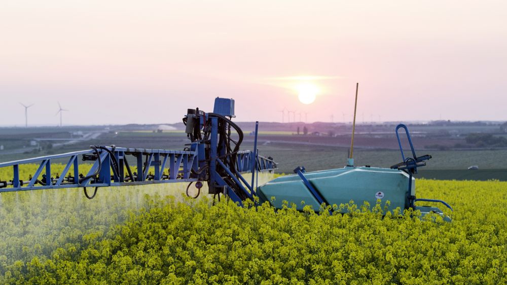 Le plan pollinisateurs, lancé fin 2021,instaure désormais la possibilité de traiter avec un produit autorisé à floraison dans les deux heures qui précèdent le coucher du soleil et dans les trois heures qui le suivent.