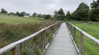Pour préserver les espèces, il est nécessaire de restaurer leur habitat lors des projets de renaturation, ce qui demande parfois un peu de créativité.