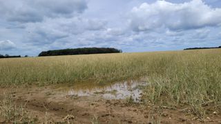 En 2022, chez Groupama, 380 000 hectares ont été sinistrés par la grêle. En 2022, chez Groupama, 380 000 hectares ont été sinistrés par la grêle.