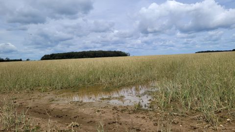 En 2022, chez Groupama, 380 000 hectares ont été sinistrés par la grêle. En 2022, chez Groupama, 380 000 hectares ont été sinistrés par la grêle.