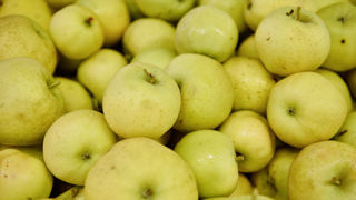 Les organisations économiques italiennes et françaises de la filière de la pomme bio se rapprochent pour faire face au repli de la demande. Les organisations économiques italiennes et françaises de la filière de la pomme bio se rapprochent pour faire face au repli de la demande.