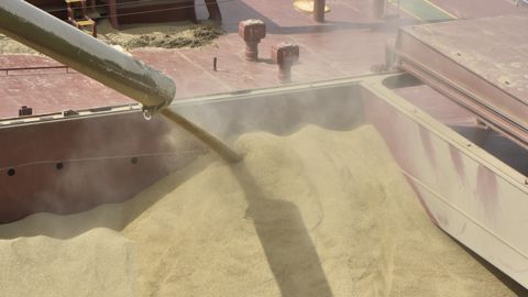 Plusieurs géants mondiaux du négoce agricole ne participeront pas à la prochaine campagne d’exportation de blé russe, renforçant le contrôle de la Russie sur les exportations de céréales.