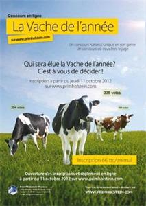 Vache de l'année