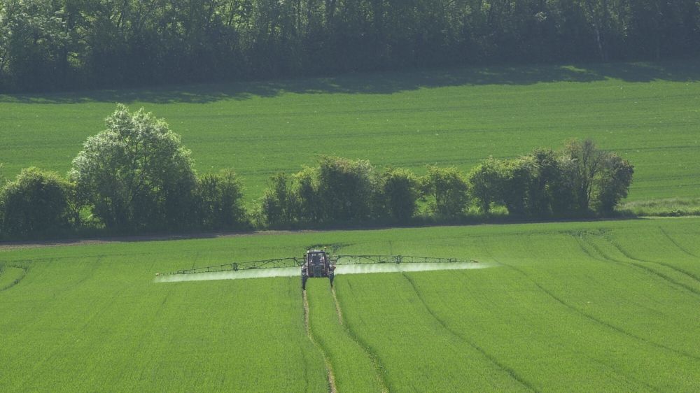 Interdit en 2020, le chlorothalonil, était un fongicide multisite employé sur céréales et qui jouait un rôle essentiel dans la gestion des résistances.(Photo d'illustration)