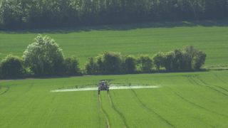 Interdit en 2020, le chlorothalonil, était un fongicide multisite employé sur céréales et qui jouait un rôle essentiel dans la gestion des résistances.(Photo d'illustration) Interdit en 2020, le chlorothalonil, était un fongicide multisite employé sur céréales et qui jouait un rôle essentiel dans la gestion des résistances.(Photo d'illustration)