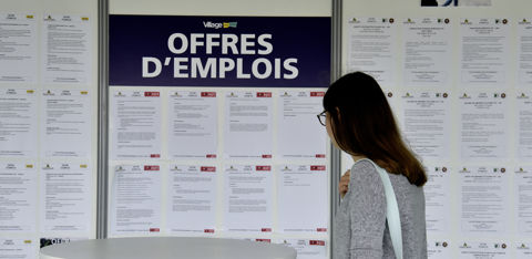 L'annonce doit donner suffisamment de détails sur l'exploitation et sur les missions (savoir faire technique, savoir être...) pour permettre au candidat de se projeter.