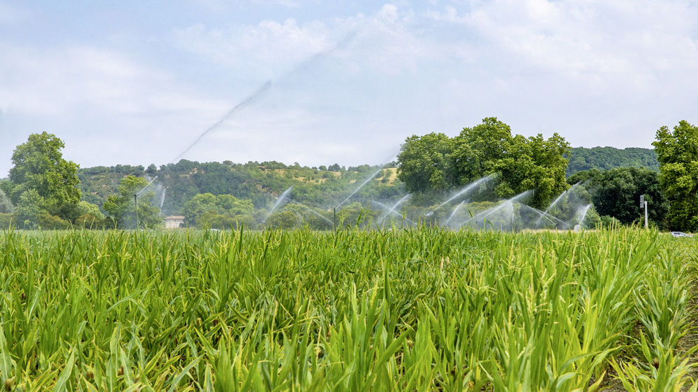 Certaines recommandations concernent le suivi des étiages et le renforcement des lignes directrices sur les mesures de restriction par exemple.